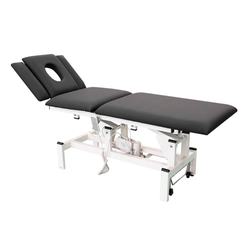Electric  massage  bed